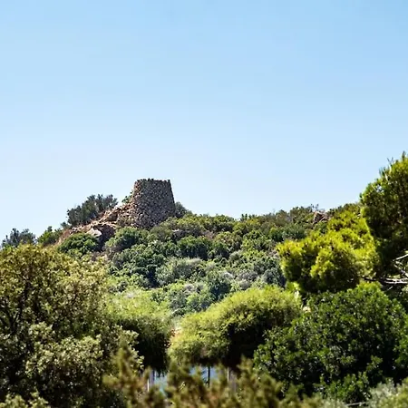 Bouganville Tertenia