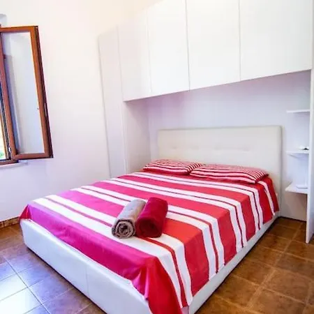 Bouganville * Tertenia