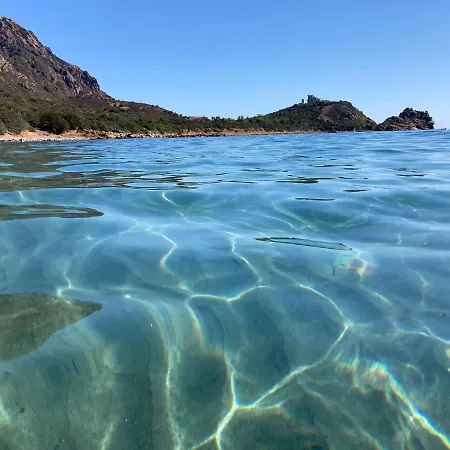 Bouganville Tertenia