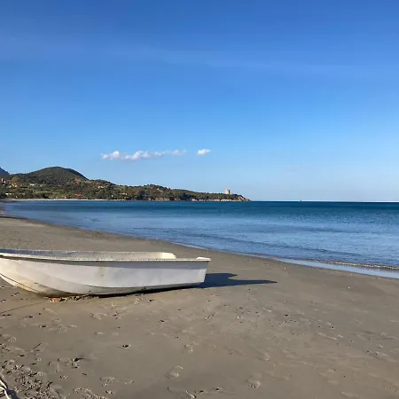Bouganville
